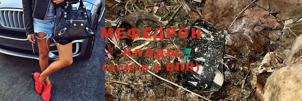 индика Абаза
