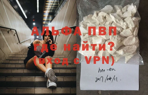 индика Абаза