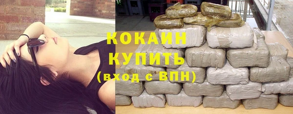 индика Абаза