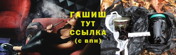 индика Абаза