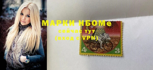 индика Абаза