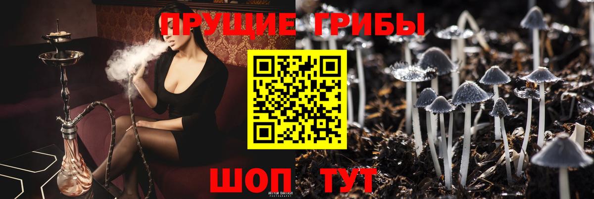 Псилоцибиновые грибы Magic Shrooms  Галлюциногенные грибы ЛСД  Кострома  Вход с VPN 